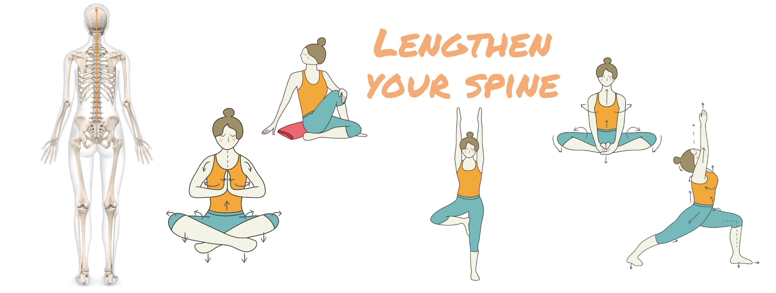 Lengthen your spine